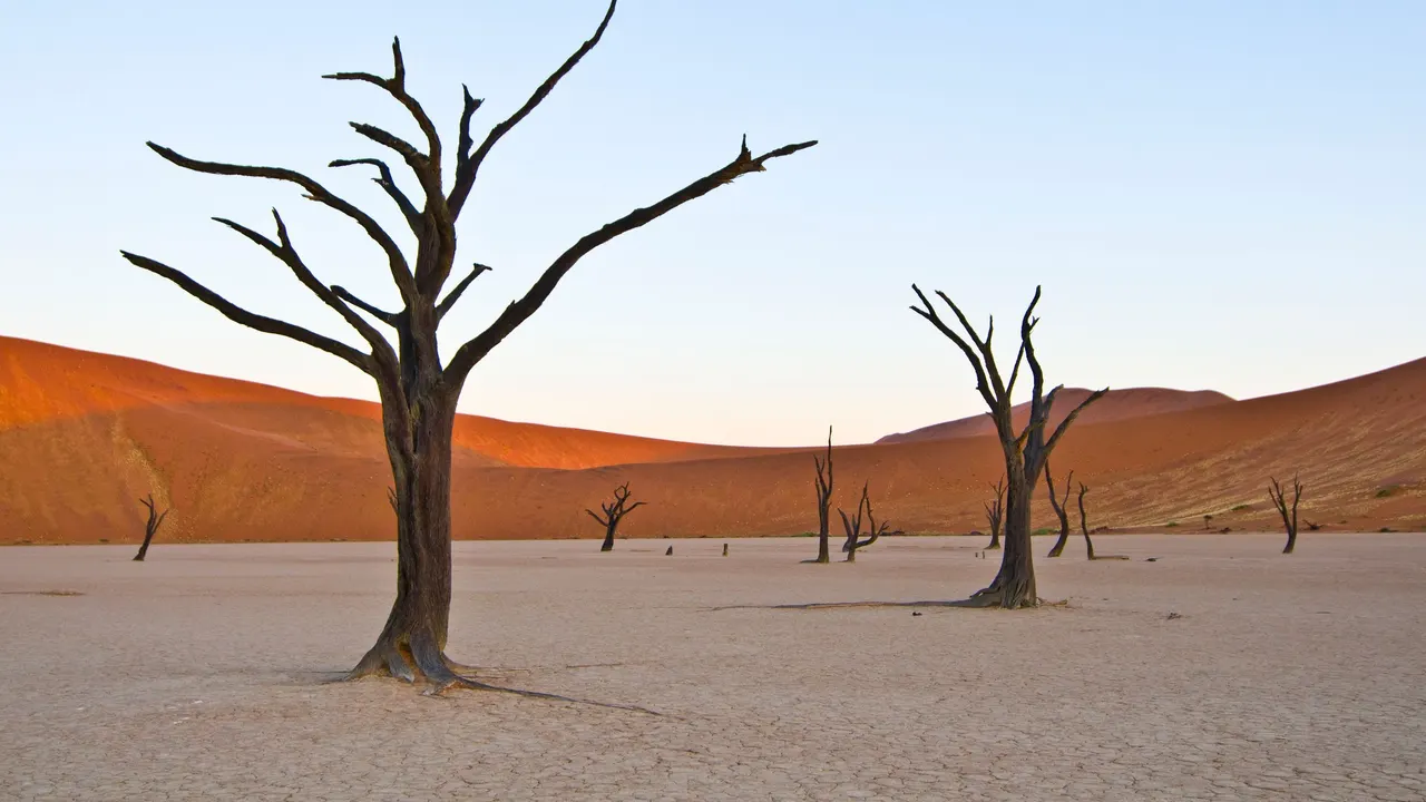 Wüste Namibia
