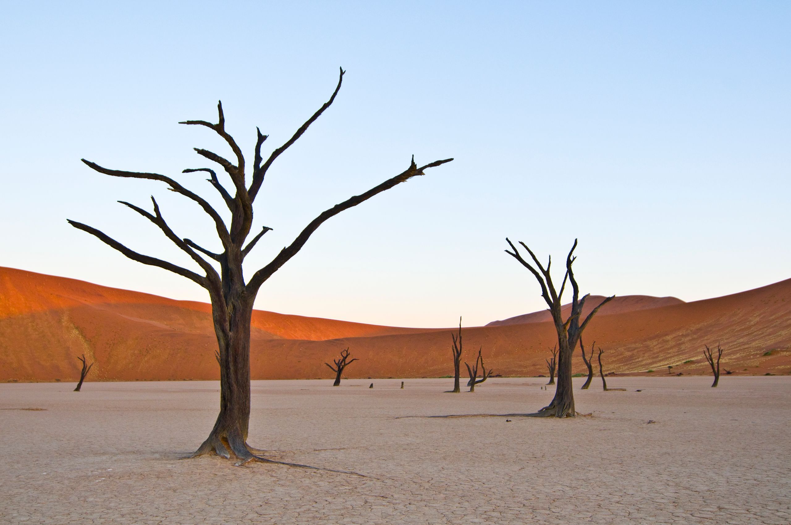 Wüste Namibia